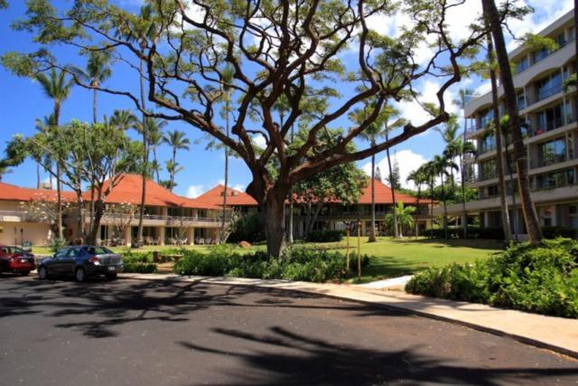 להיינה Maui Kaanapali Villas #B133 מראה חיצוני תמונה